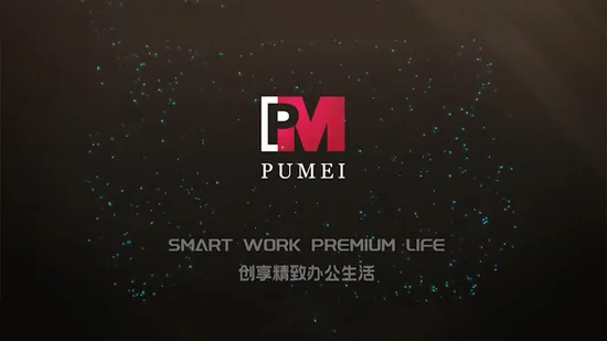 Premium Modern Design MFC Office Executive Desk (PZ-002)